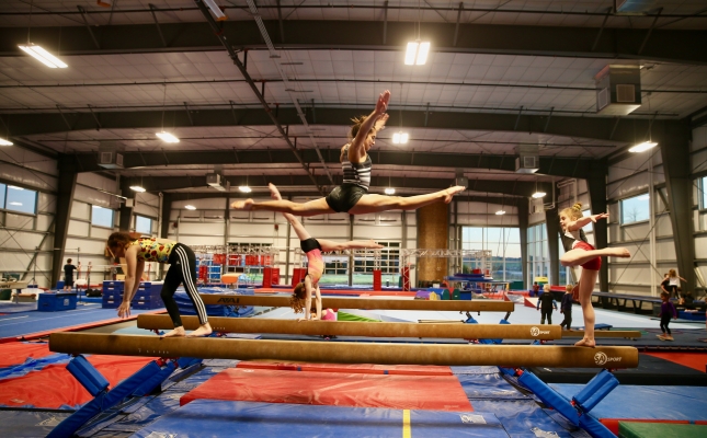 Image: Gymnastics Team