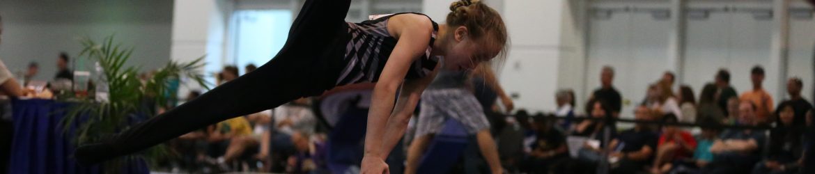 Image: Developmental Gymnastics